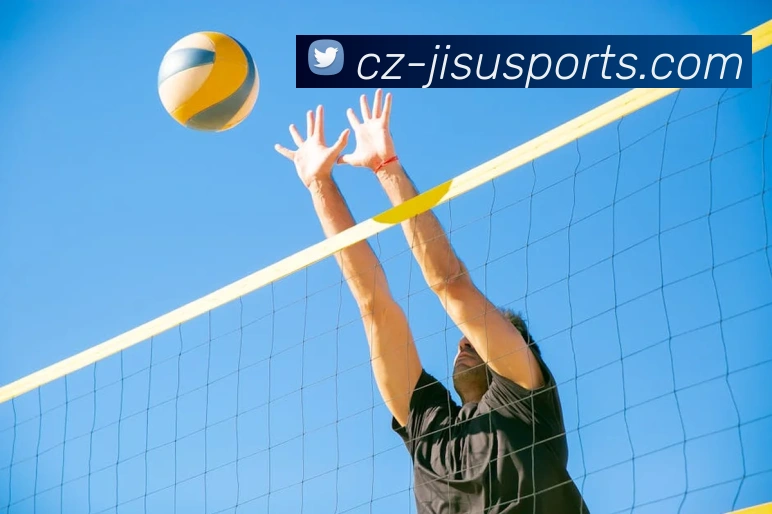 极速体育在线服务体系