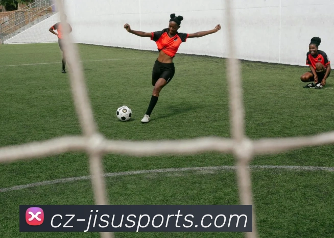 多媒体互动体验